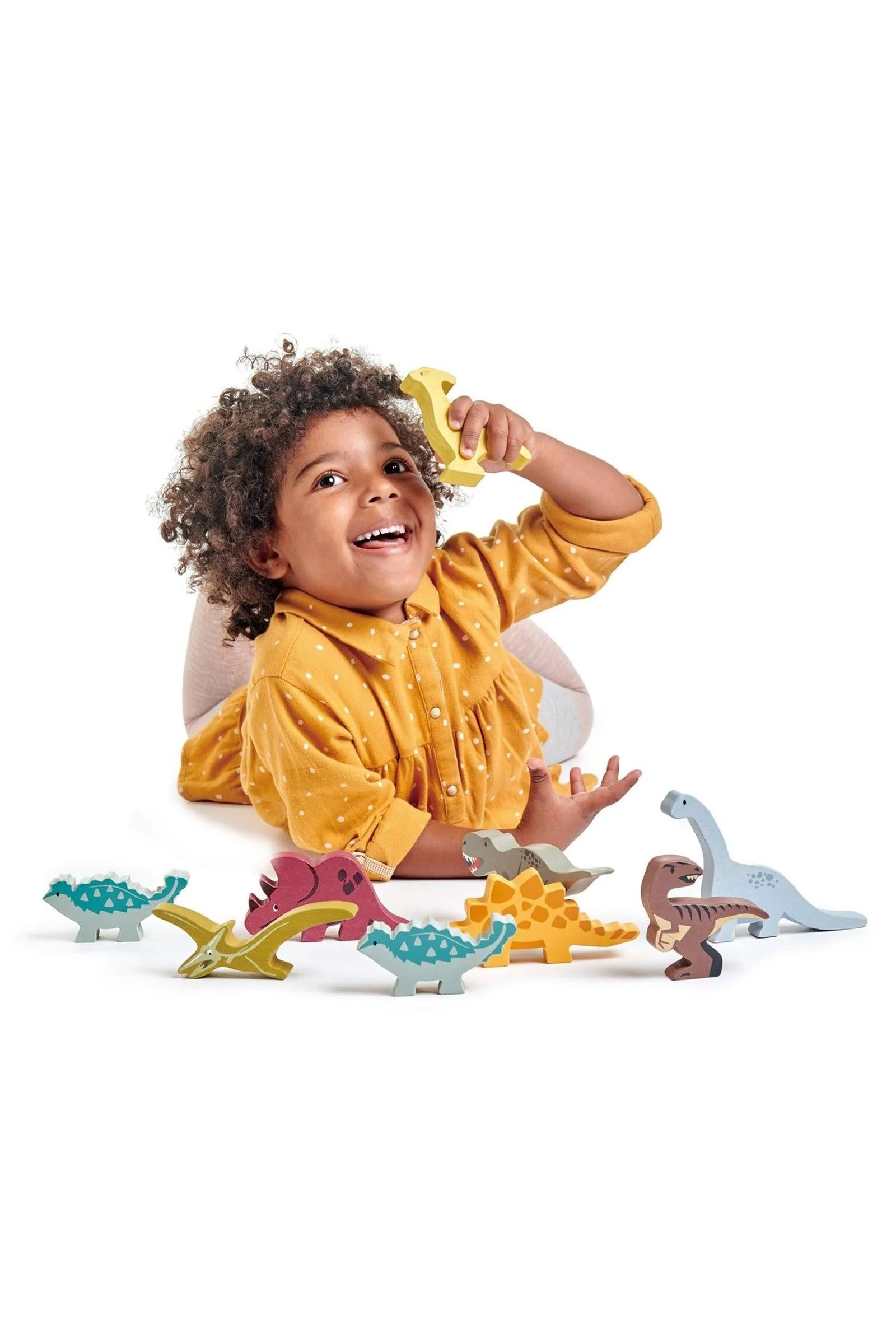 Dinosaurs Collection - Image 4