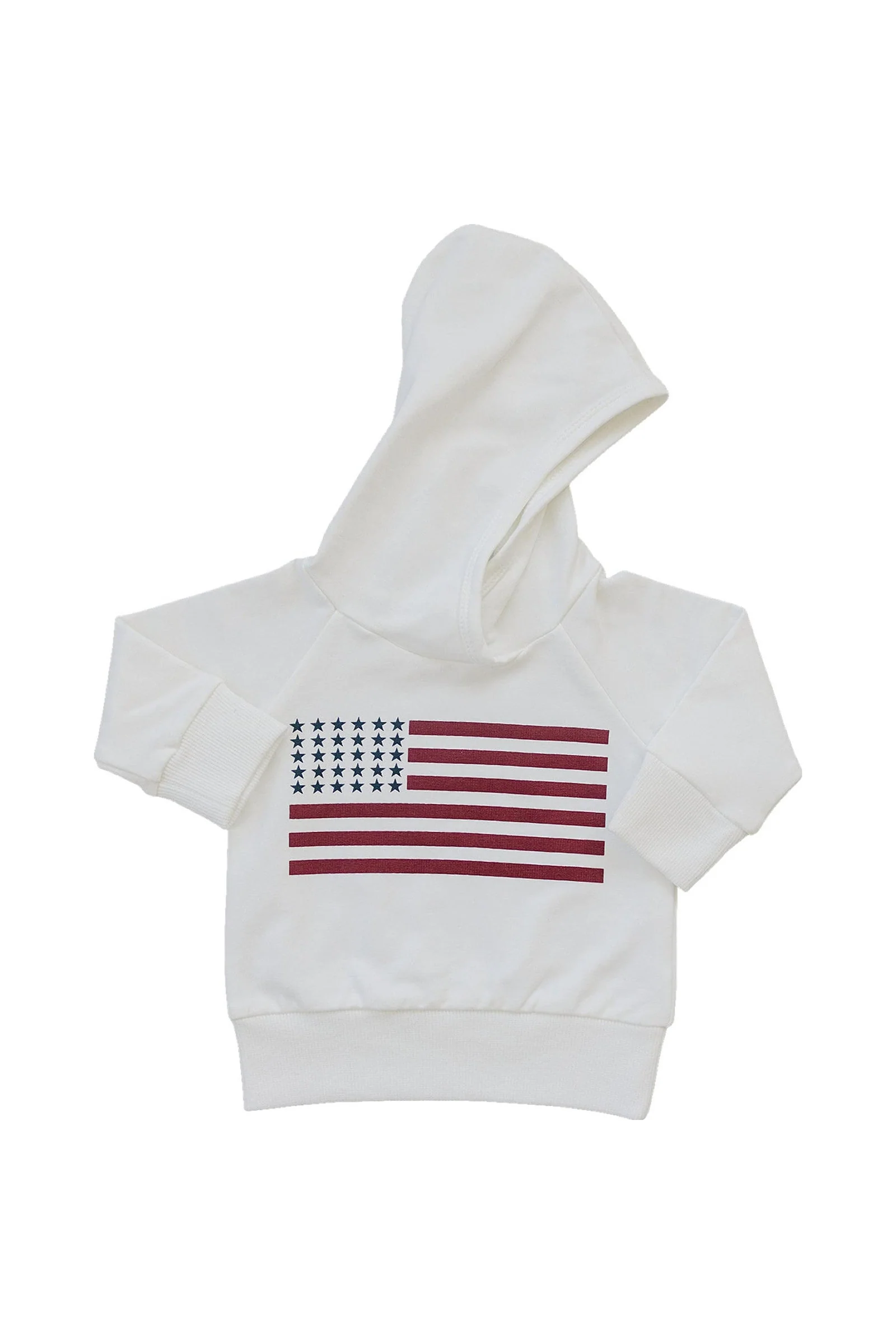 Flag Hooded Sweatshirt, Patriotic, Cotton, Gender Neutral, Baby, Toddler & Kids - Image 2