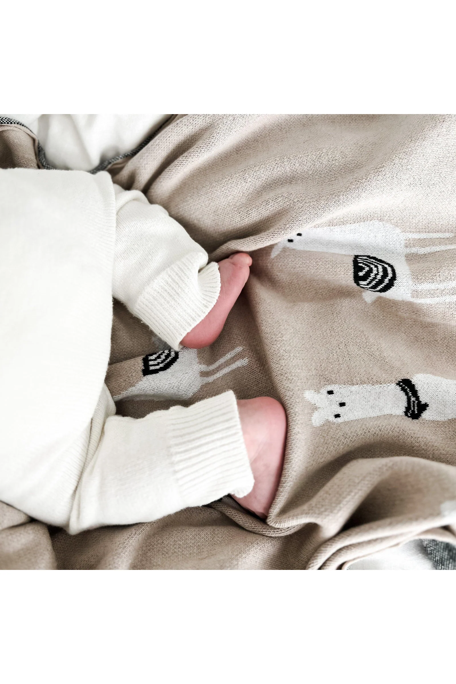 Knit Llama Luxury Swaddle Blanket, 100% OEKO Tex Pima Cotton - Image 4
