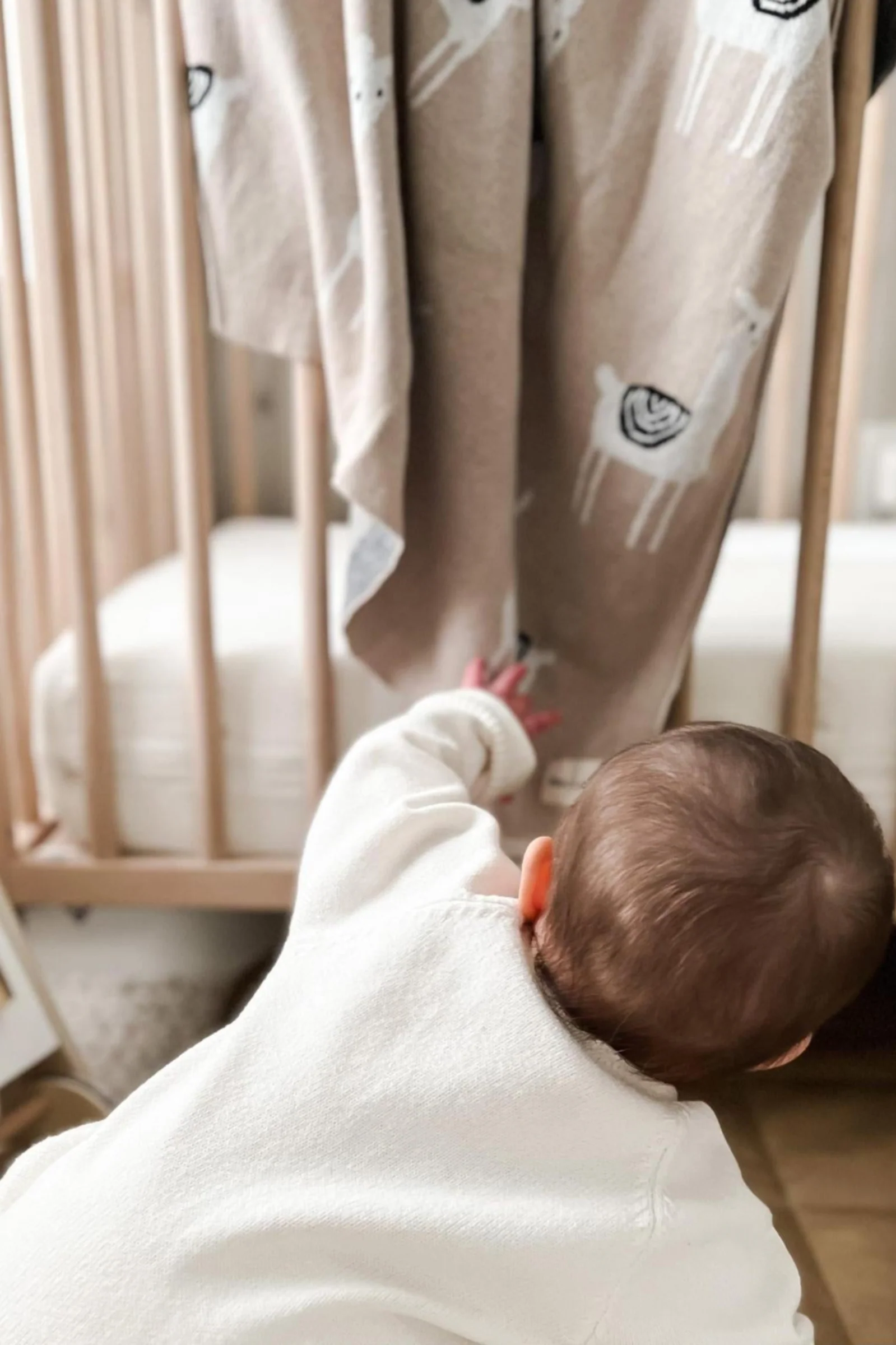 Knit Llama Luxury Swaddle Blanket, 100% OEKO Tex Pima Cotton - Image 7