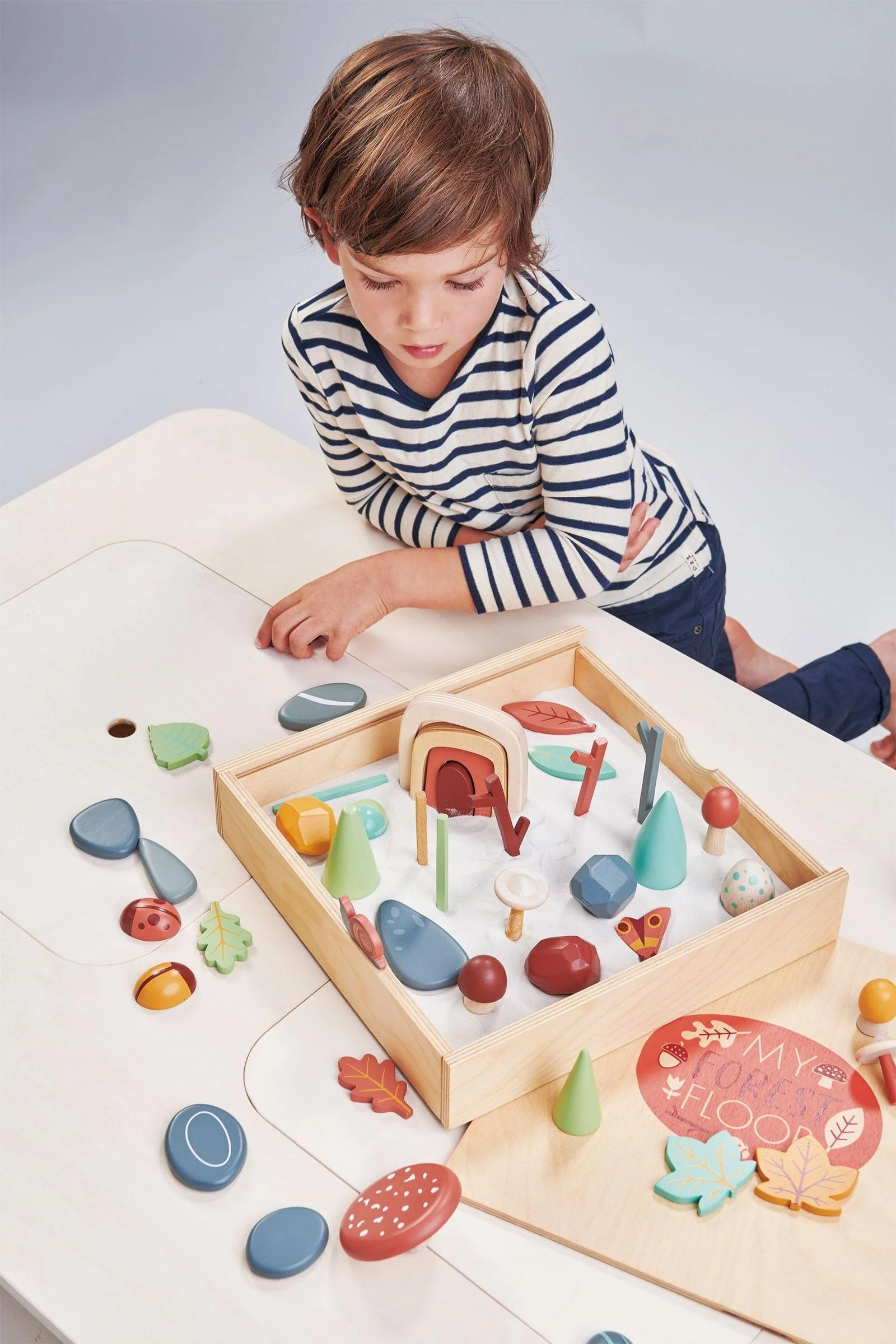My Forest Floor, Award Winning Toy - Image 11