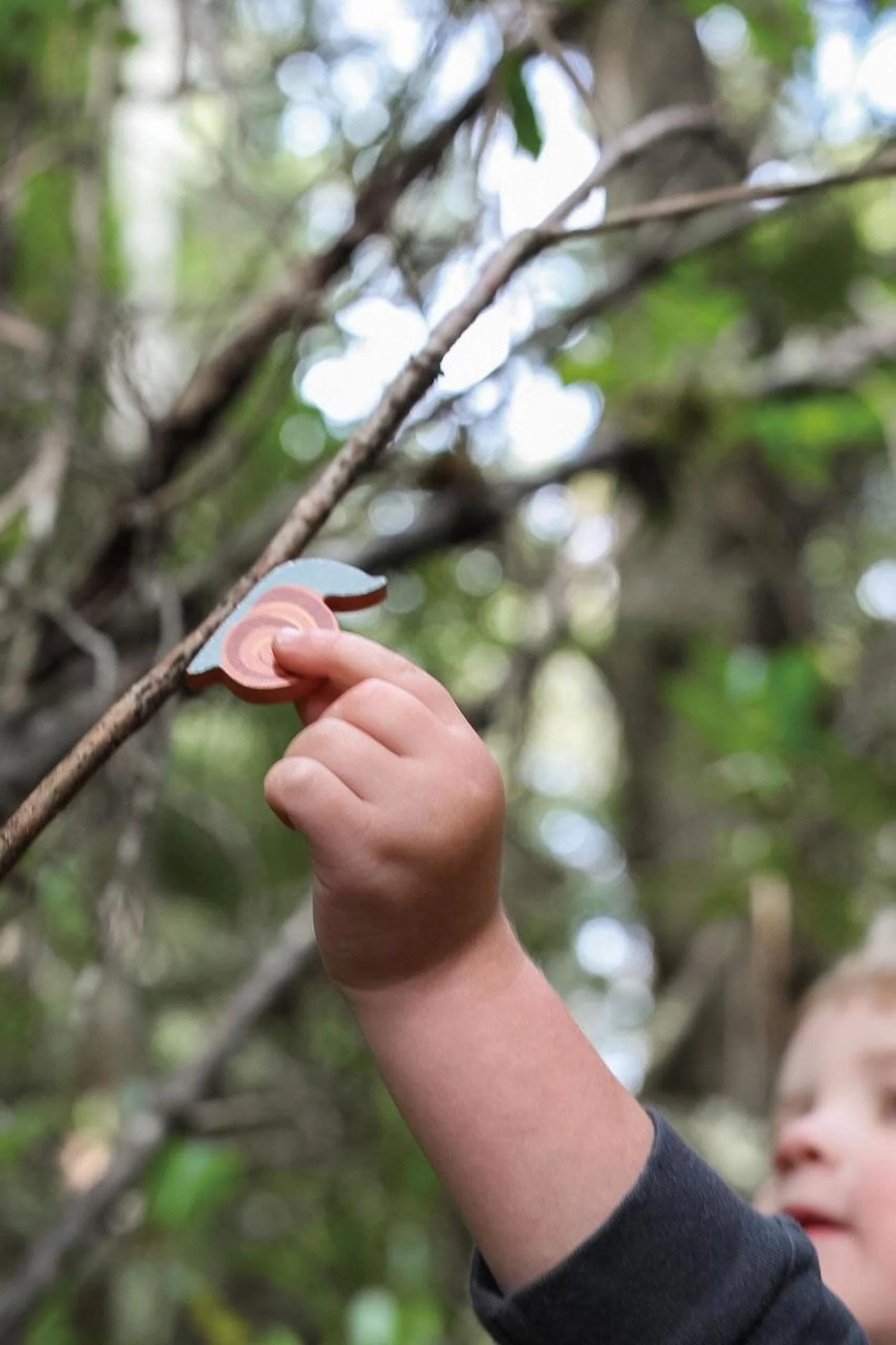 My Forest Floor, Award Winning Toy - Image 13