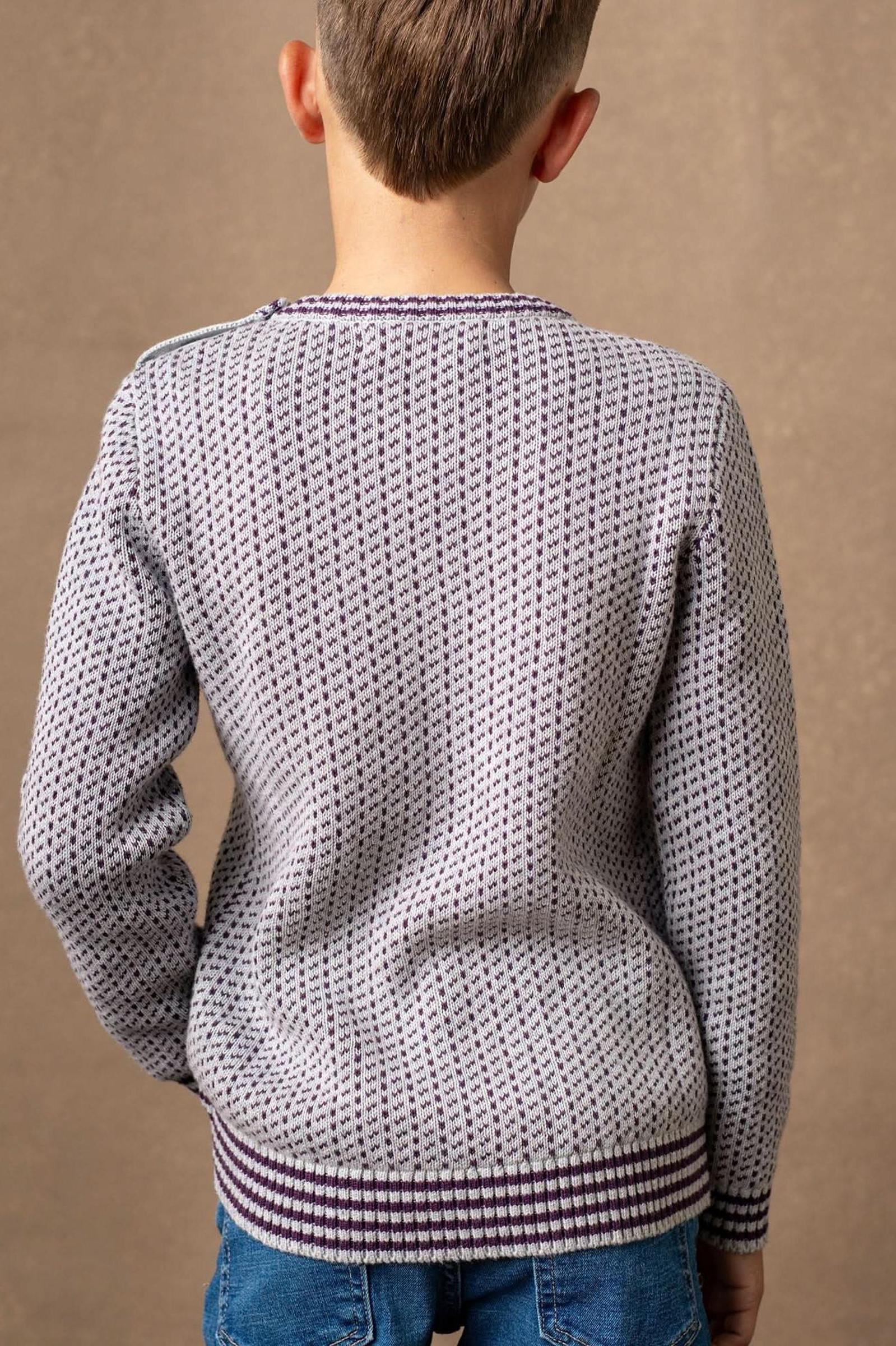 Organic Cotton Intarsia Crew Neck Sweater for Baby Boys, Gray & Plum, Baby - Image 4