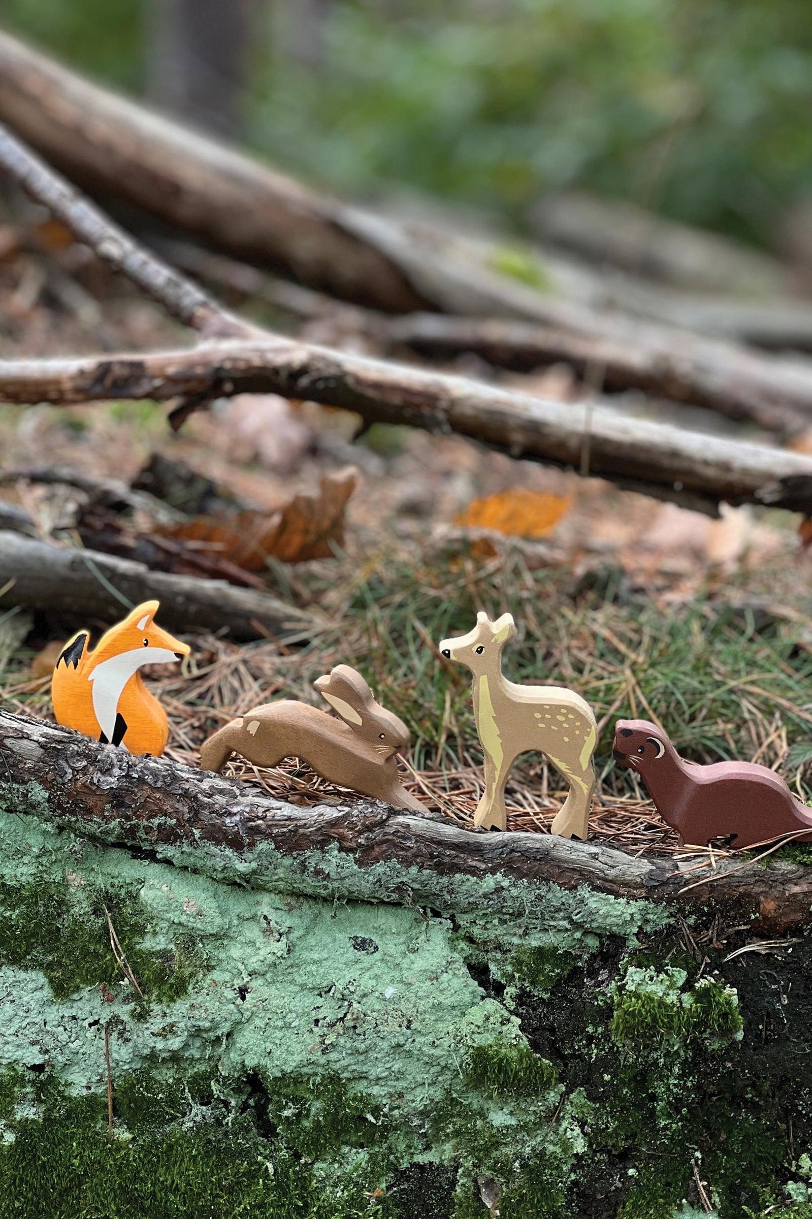 Woodland Animals - Image 7